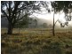 Speriby North Curr Road, Tenterfield NSW 2372