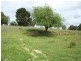 Lot 56 East Street, Tenterfield NSW 2372