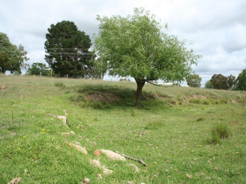 Lot 56 East Street, Tenterfield NSW 2372