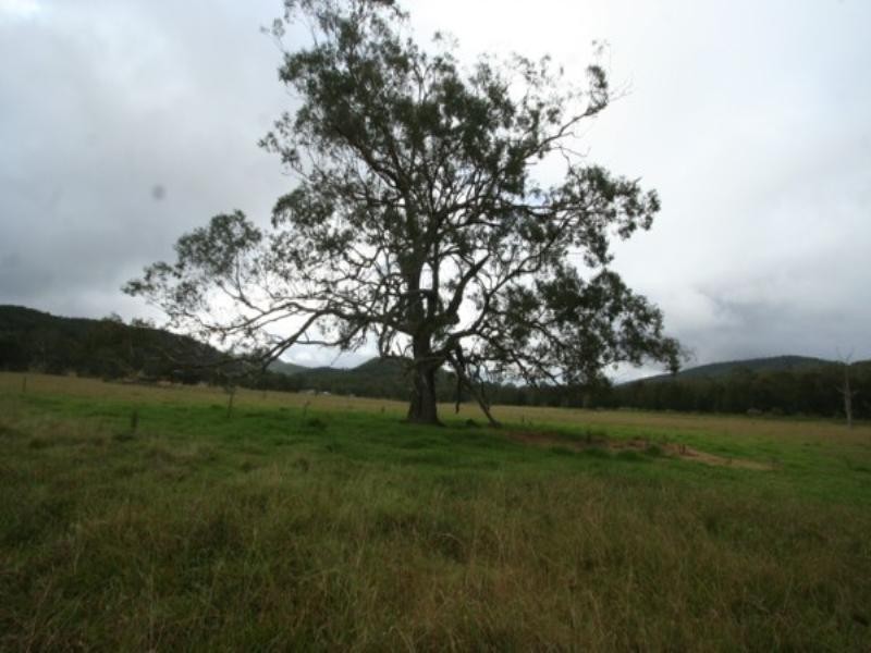 Tenterfield NSW 2372