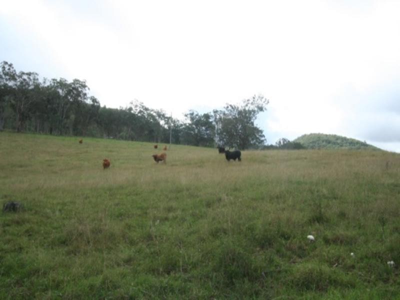 Tenterfield NSW 2372