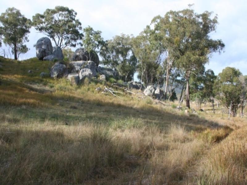 Tenterfield NSW 2372