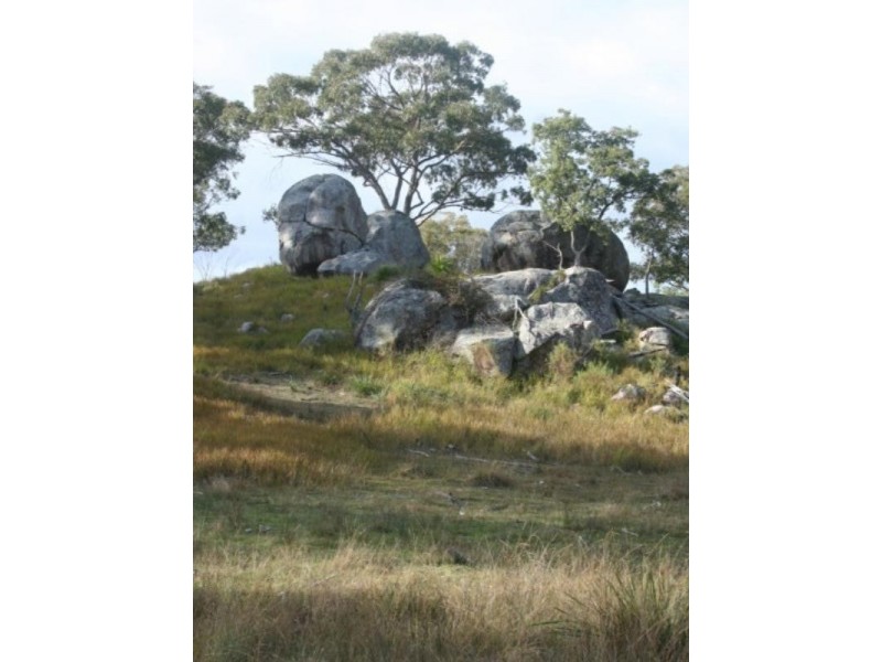 Tenterfield NSW 2372