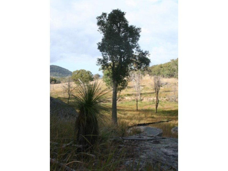 Tenterfield NSW 2372