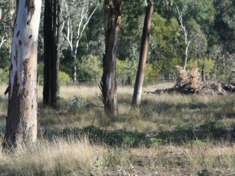 15001 Bruxner Highway, Bonshaw NSW 2361