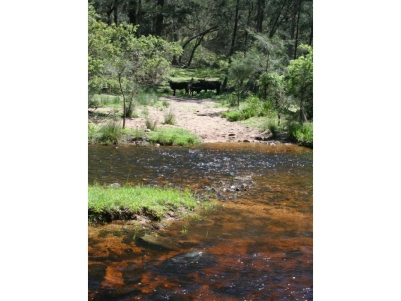 Tenterfield NSW 2372