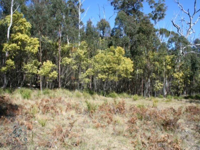 Tenterfield NSW 2372