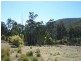 Tenterfield NSW 2372