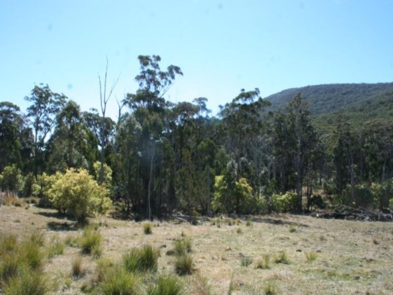 Tenterfield NSW 2372