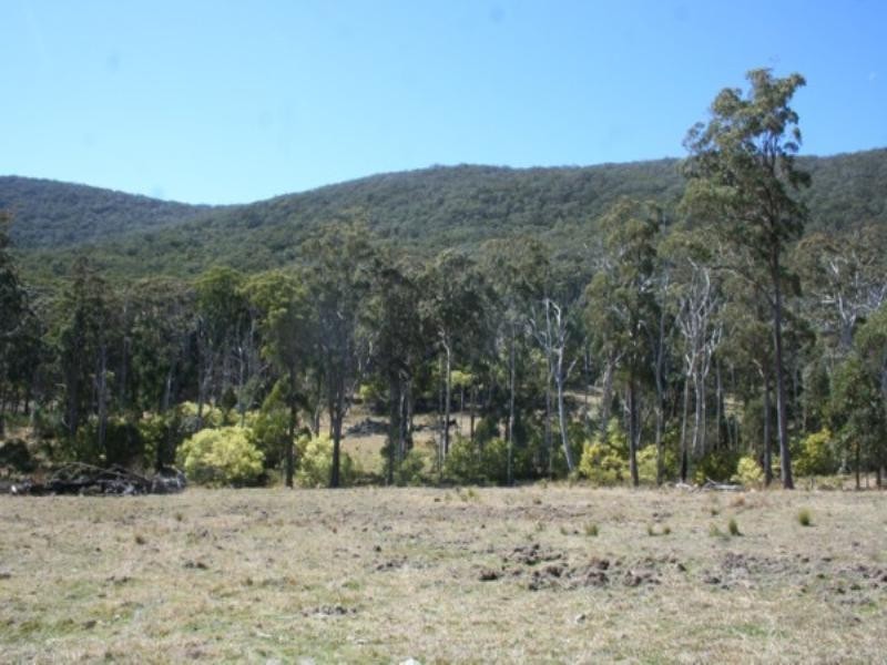 Tenterfield NSW 2372
