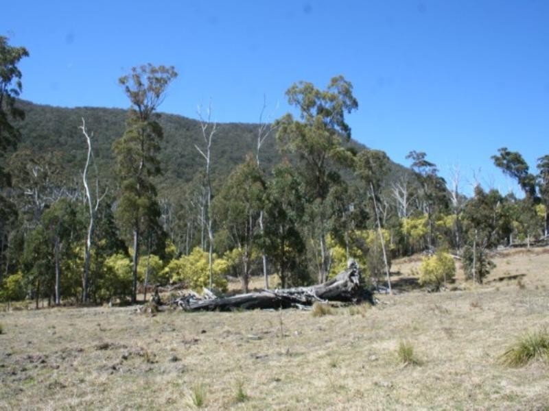 Tenterfield NSW 2372