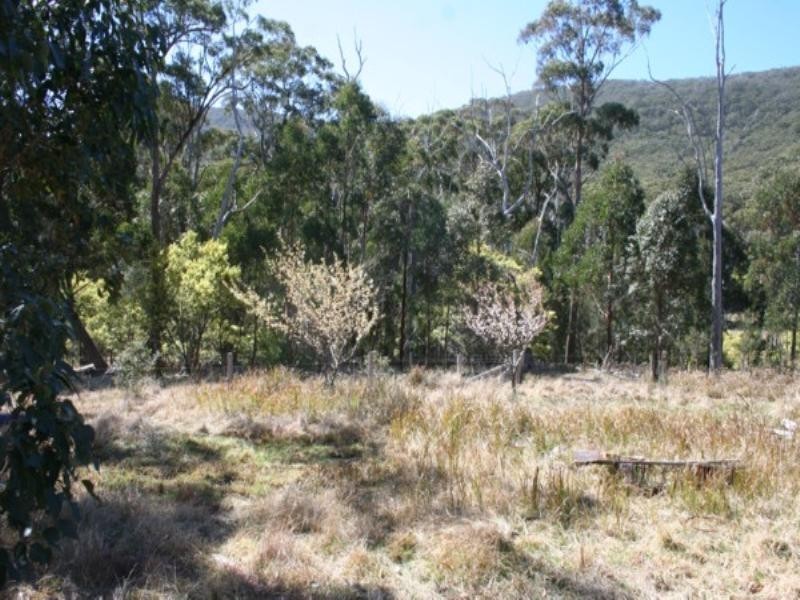 Tenterfield NSW 2372