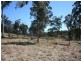 Tenterfield NSW 2372