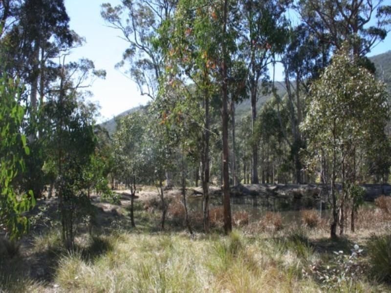 Tenterfield NSW 2372