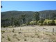 Tenterfield NSW 2372