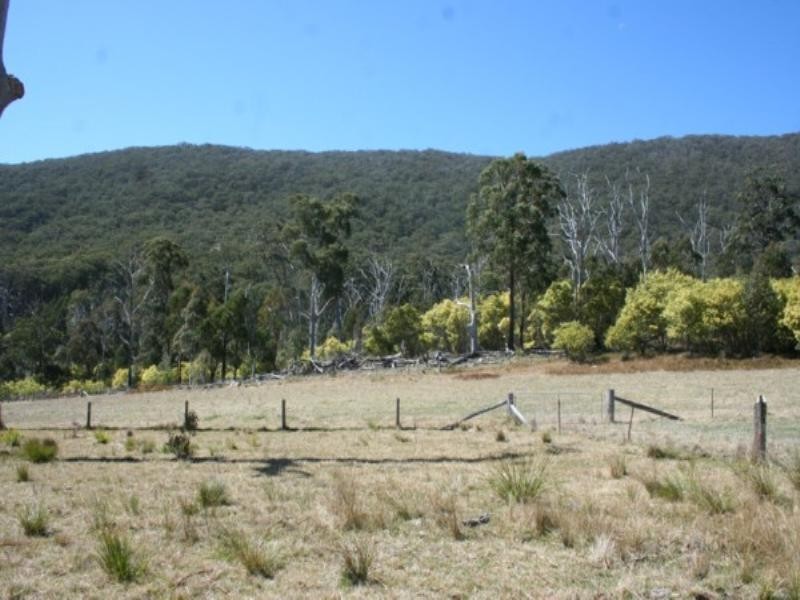 Tenterfield NSW 2372