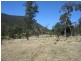 Tenterfield NSW 2372