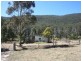 Tenterfield NSW 2372