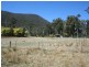 Tenterfield NSW 2372