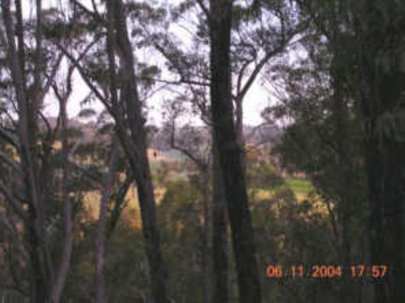 Tenterfield NSW 2372