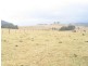 Lot 212 Dougs Block, Tenterfield NSW 2372