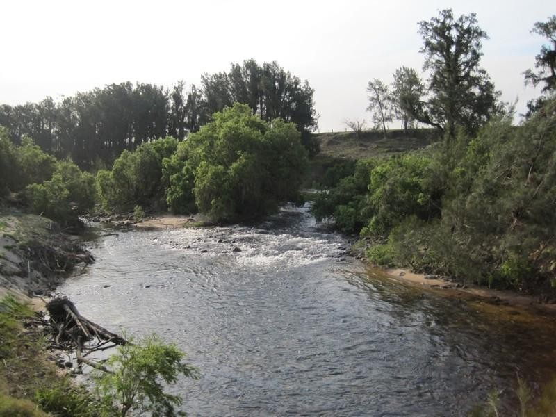 “Beltana” Chauvel Road, Tabulam NSW 2469