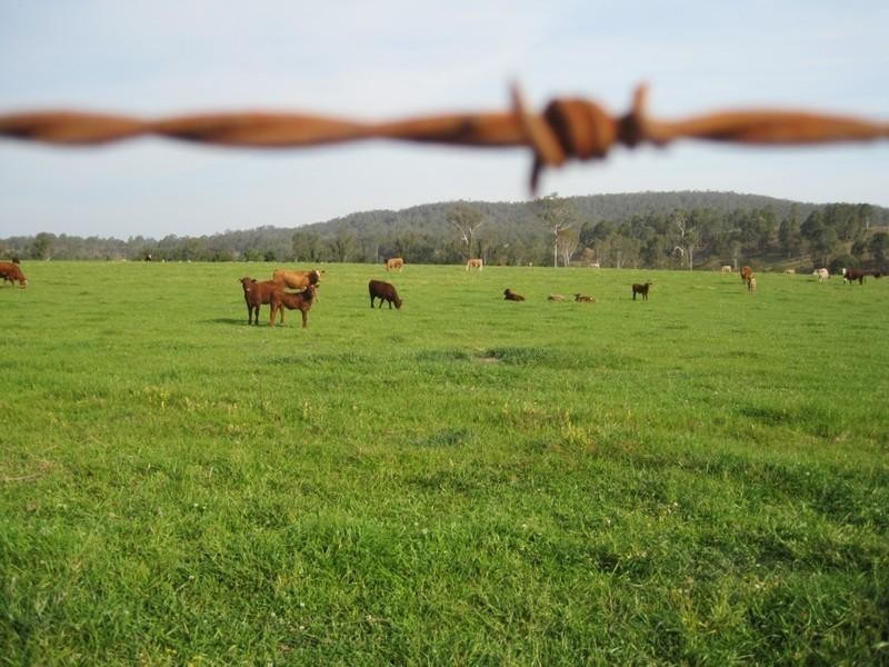 “Beltana” Chauvel Road, Tabulam NSW 2469