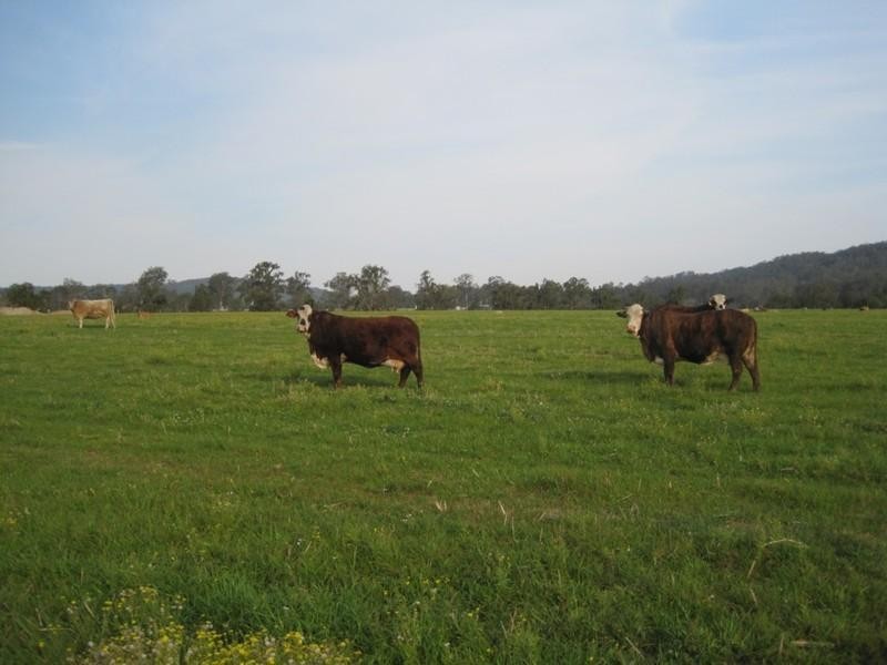 “Beltana” Chauvel Road, Tabulam NSW 2469