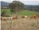“Beltana” Chauvel Road, Tabulam NSW 2469