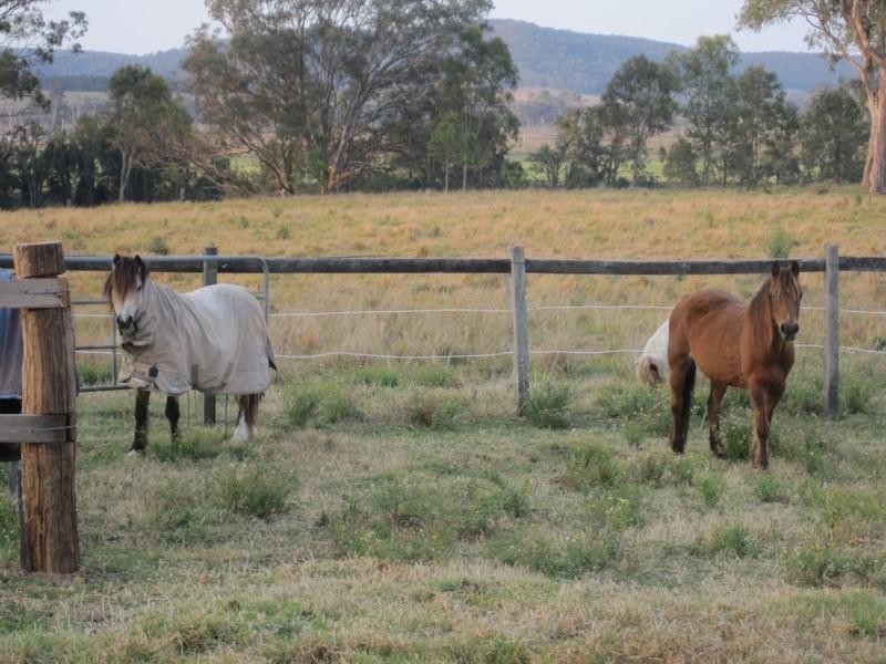 “Beltana” Chauvel Road, Tabulam NSW 2469