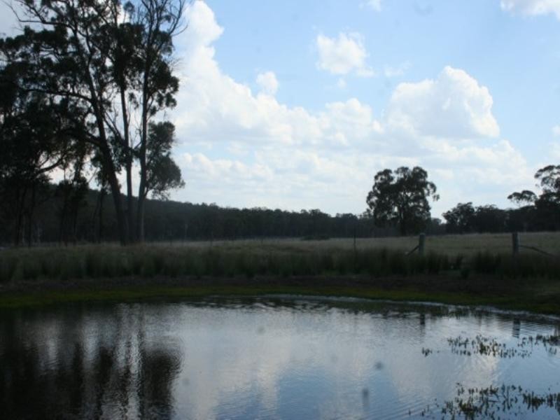 Lots 54and635 Torrington Road, Stannum NSW 2371