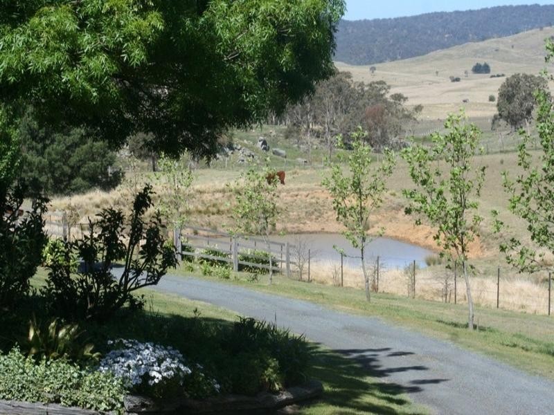 115 Barney Downs Road, Tenterfield NSW 2372