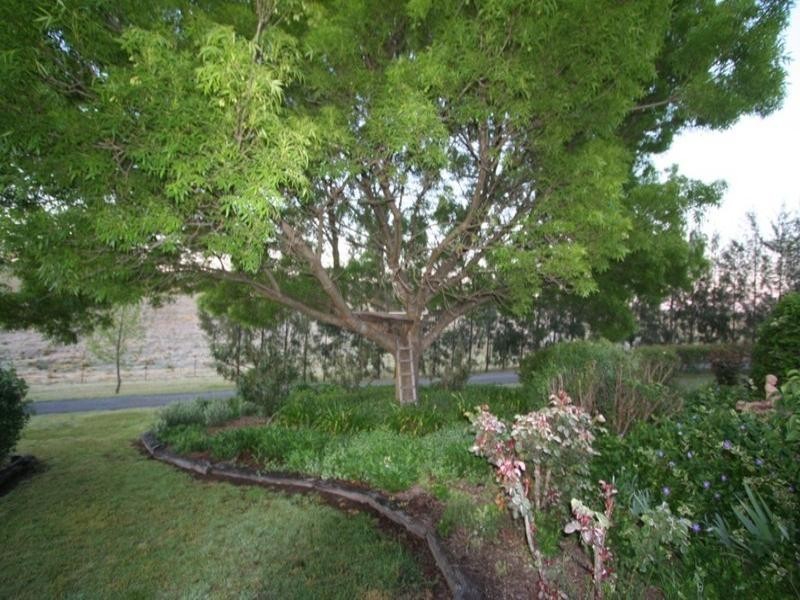 115 Barney Downs Road, Tenterfield NSW 2372