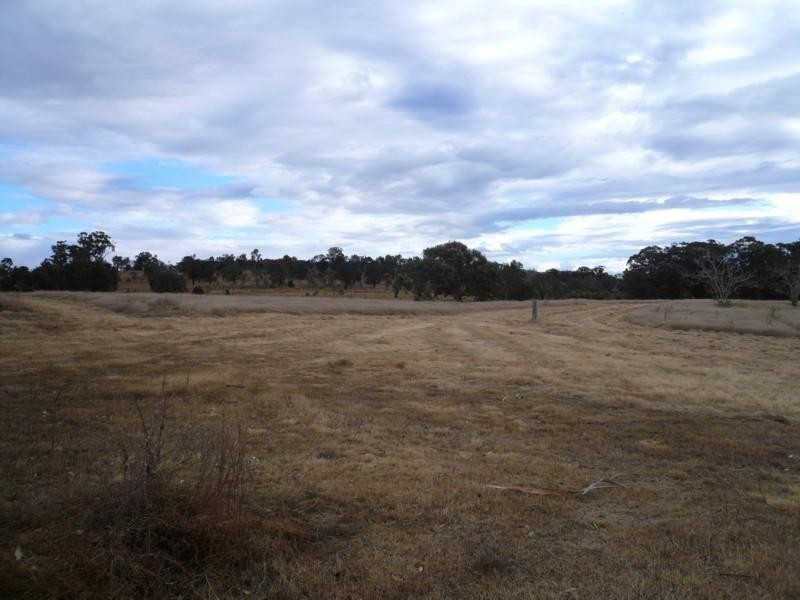 L13 The Gains Bruxner HigHighway, Tenterfield NSW 2372