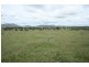 Lot 56 East Street, Tenterfield NSW 2372
