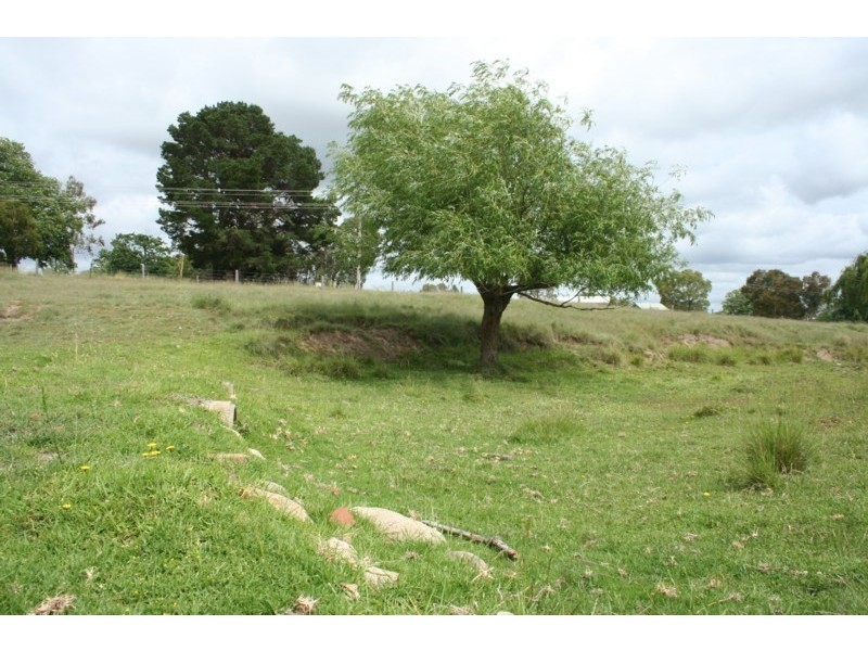 Lot 56 East Street, Tenterfield NSW 2372
