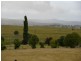 Surick Heights East Street, Tenterfield NSW 2372
