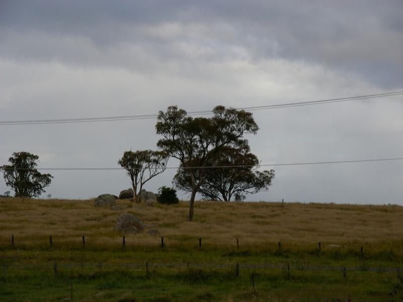 Surick Heights East Street, Tenterfield NSW 2372