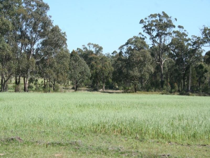 Granite Hill Eukey Road, Tenterfield NSW 2372