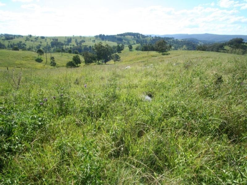 Strathalpine Timbara Road, Tenterfield NSW 2372