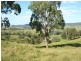 Strathalpine Timbara Road, Tenterfield NSW 2372