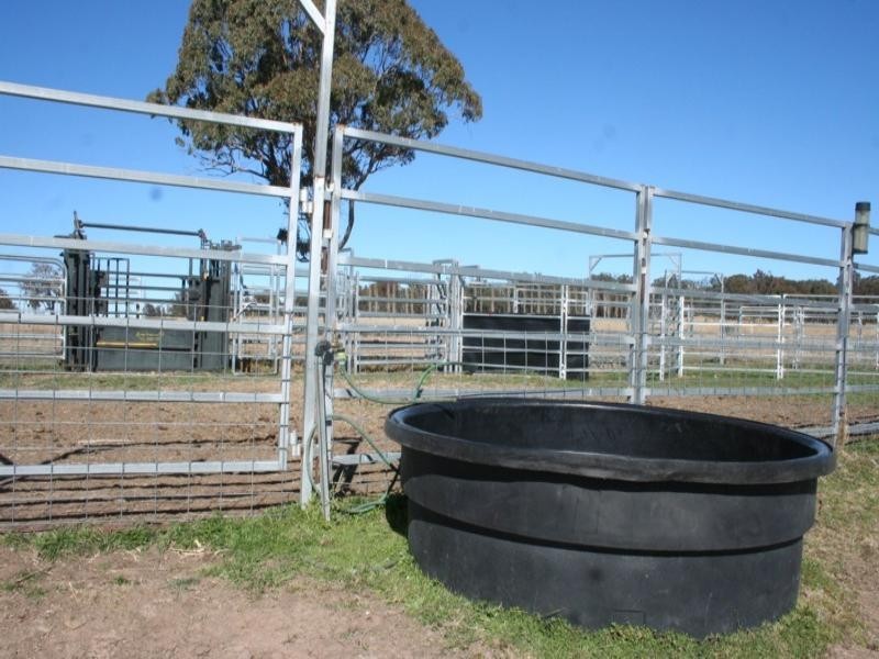 ‘St John’ Robinsons Road, Tenterfield NSW 2372