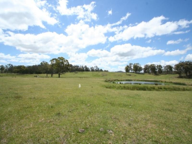 Eringa Park Scrub Road, Tenterfield NSW 2372