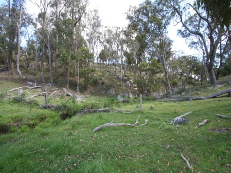 Eringa Park Scrub Road, Tenterfield NSW 2372