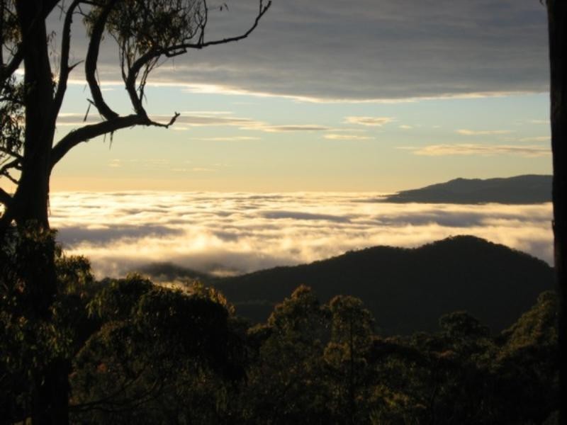 Halfmoon Rivertree Road, Tenterfield NSW 2372