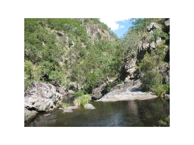 Halfmoon Rivertree Road, Tenterfield NSW 2372