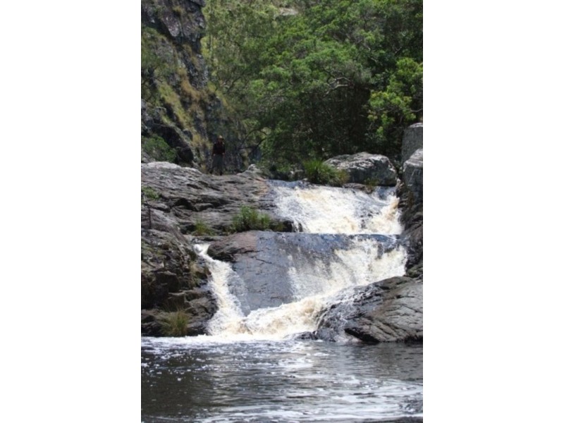 Halfmoon Rivertree Road, Tenterfield NSW 2372