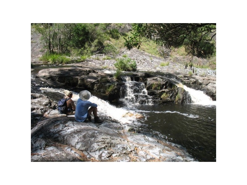 Halfmoon Rivertree Road, Tenterfield NSW 2372