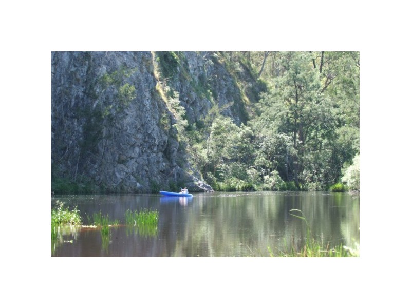 Halfmoon Rivertree Road, Tenterfield NSW 2372