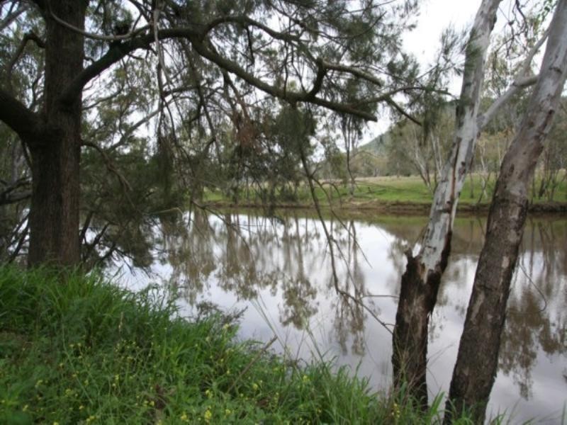 Top Station Riverton Road, Tenterfield NSW 2372